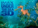 Under the Sea 3D wallpaper