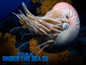 Under the Sea 3D wallpaper