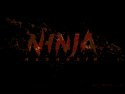 Ninja Assassin wallpaper