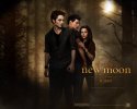 The Twilight Saga: New Moon wallpaper