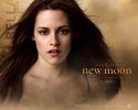 The Twilight Saga: New Moon wallpaper
