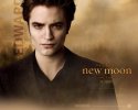 The Twilight Saga: New Moon wallpaper