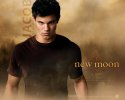 The Twilight Saga: New Moon wallpaper