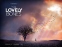 The Lovely Bones wallpaper