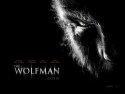 The Wolfman