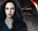 The Twilight Saga: Eclipse wallpaper