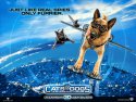 Cats & Dogs: The Revenge of Kitty Galore wallpaper