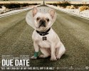 Due Date wallpaper