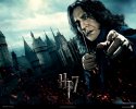 Harry Potter and the Deathly Hallows: Part 1 wallpaper