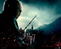 Harry Potter and the Deathly Hallows: Part 1 wallpaper