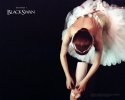 Black Swan wallpaper