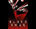Black Swan wallpaper
