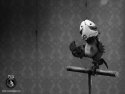 Mary and Max wallpaper