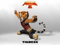 Kung Fu Panda 2 wallpaper