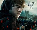 Harry Potter and the Deathly Hallows: Part 2 wallpaper