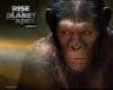 Rise of the Planet of the Apes wallpaper