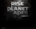 Rise of the Planet of the Apes wallpaper