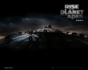 Rise of the Planet of the Apes wallpaper
