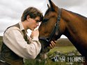 War Horse wallpaper