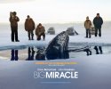 Big Miracle wallpaper