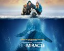 Big Miracle wallpaper