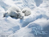 To the Arctic 3D wallpaper