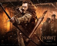 The Hobbit: The Desolation of Smaug wallpaper