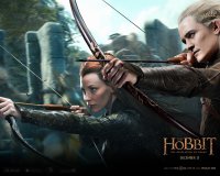 The Hobbit: The Desolation of Smaug wallpaper